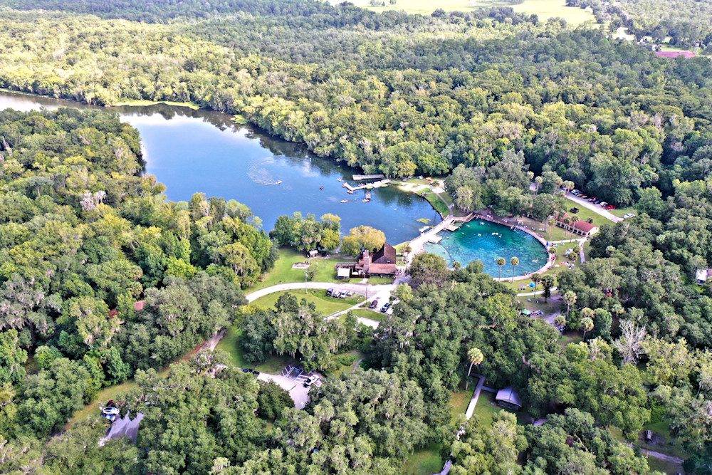 Aerial view of lush forest and lake