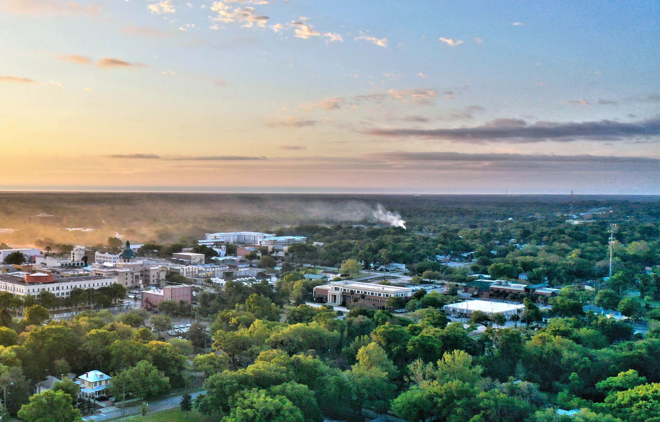 Cityscape at sunrise with green trees