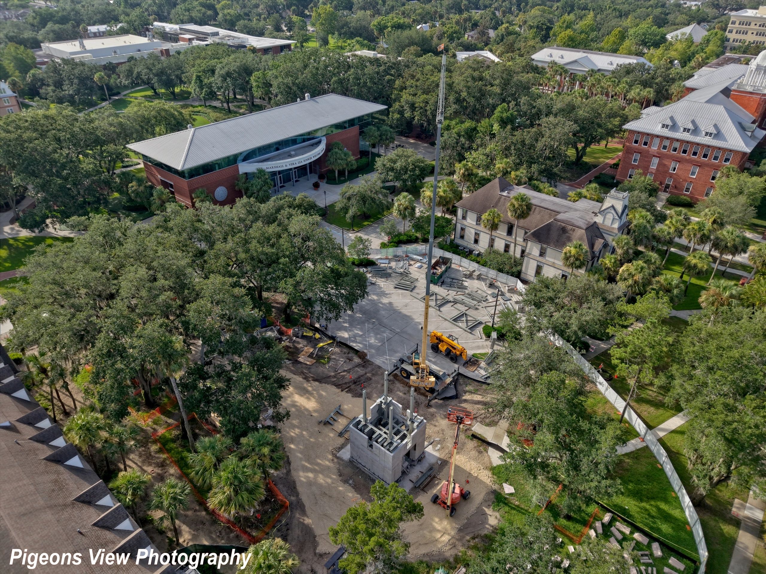 Building development amidst trees and buildings