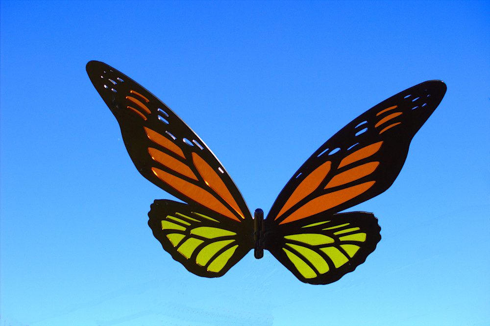 Colorful butterfly soaring in the sky.