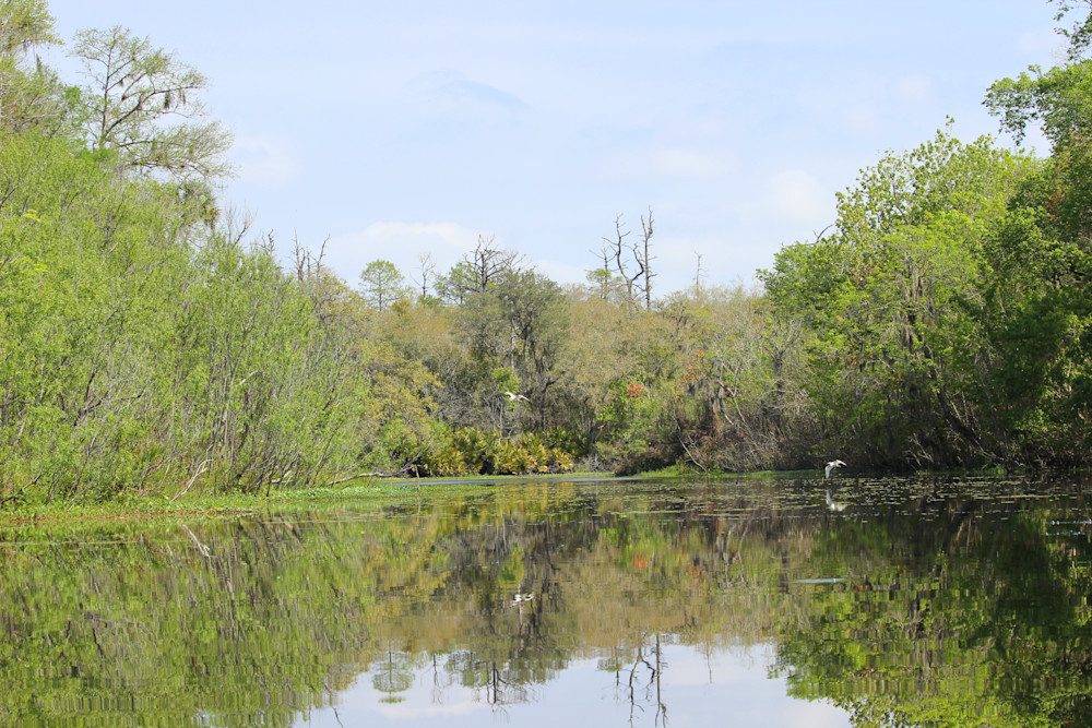 Peaceful waterway surrounded by trees