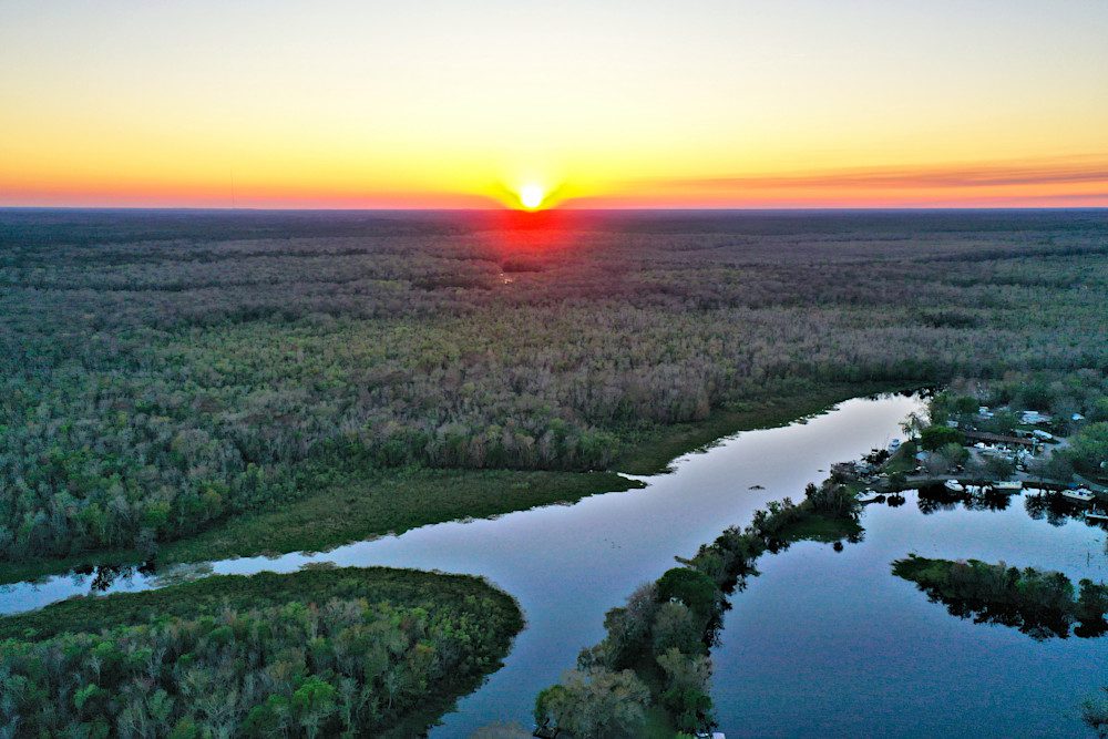 Vibrant sunset above forest landscape