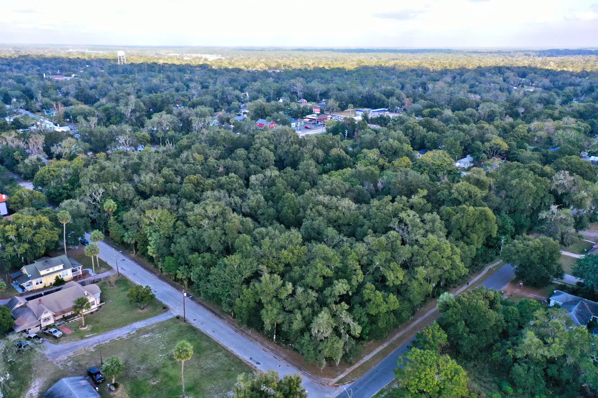 Suburban neighborhood with lush greenery