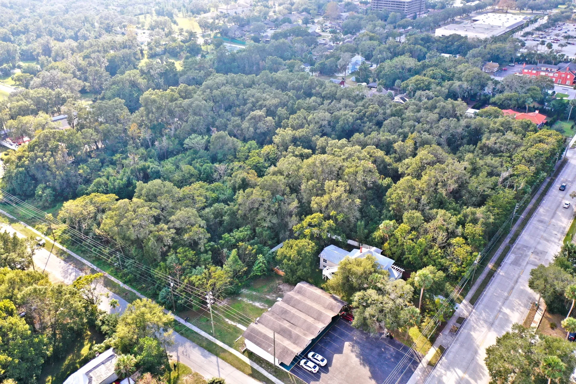Aerial view of lush forest area
