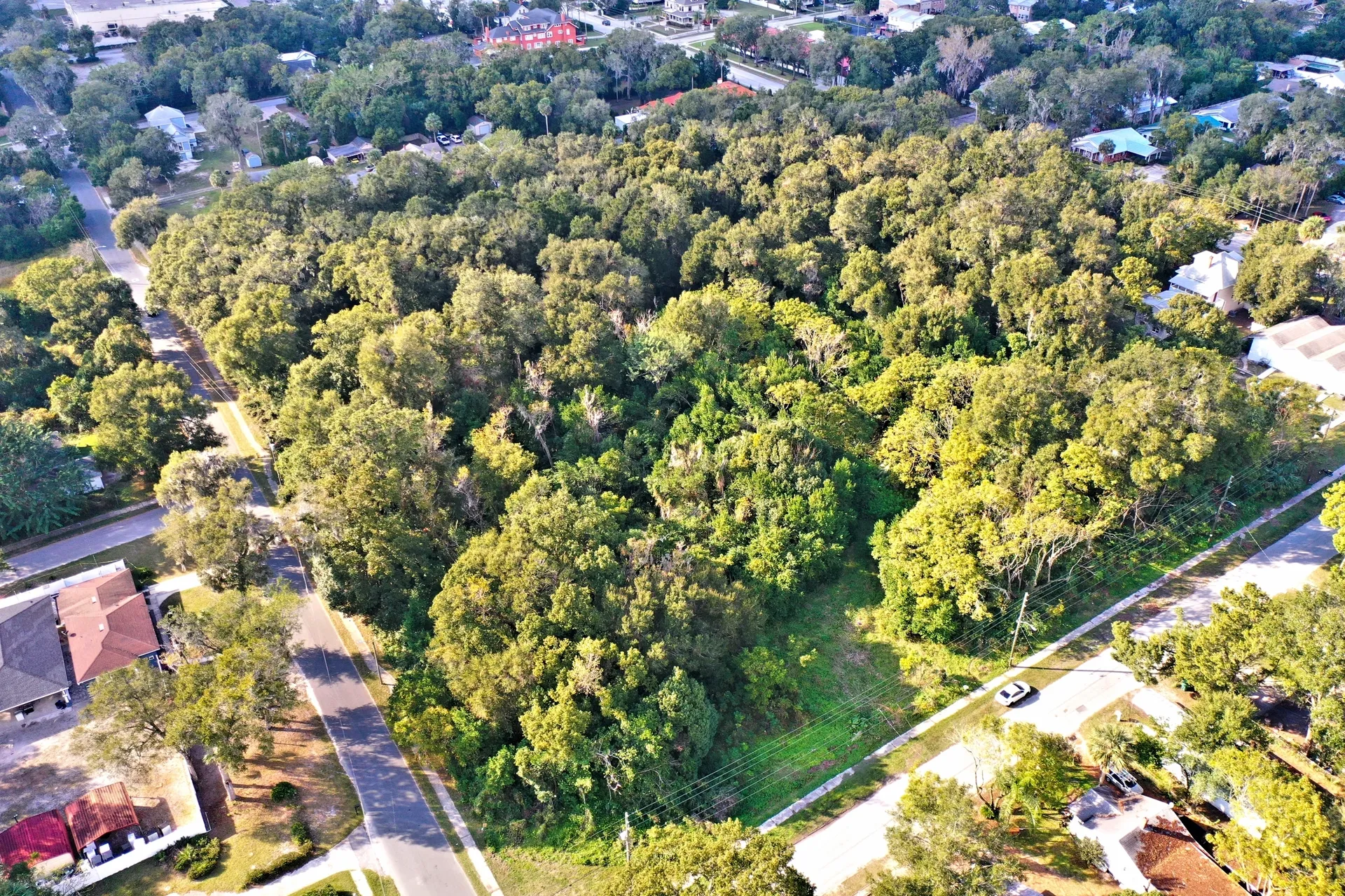 Aerial view of forested urban area