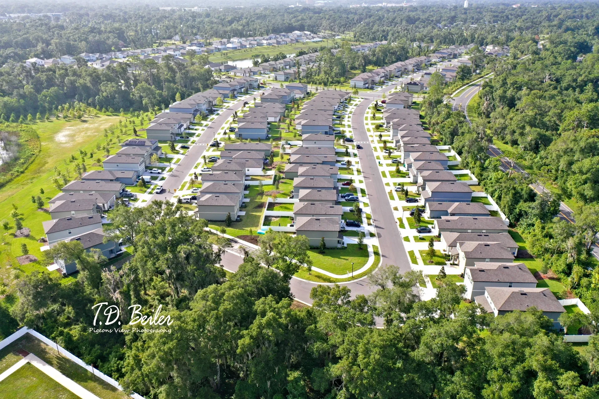 Curving streets in a housing development