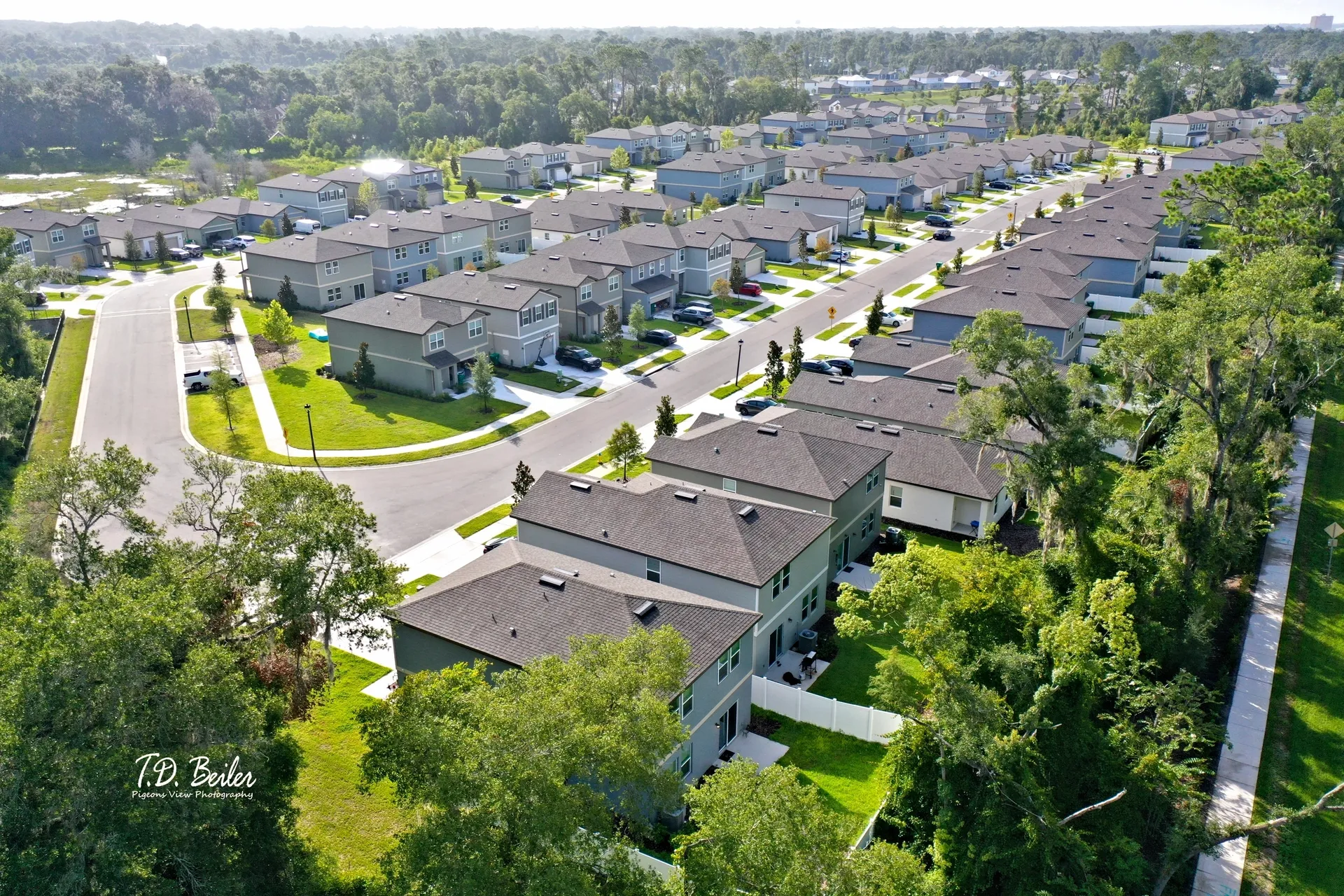 Residential area lined with trees