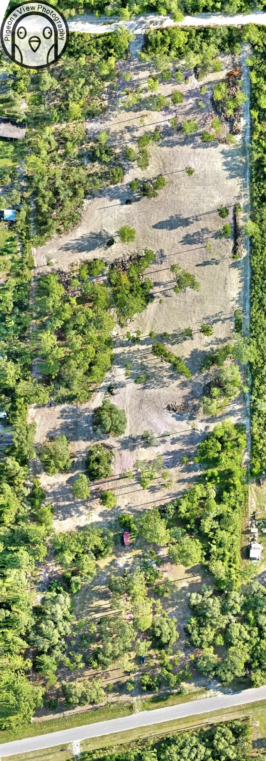 Aerial view of forested landscape