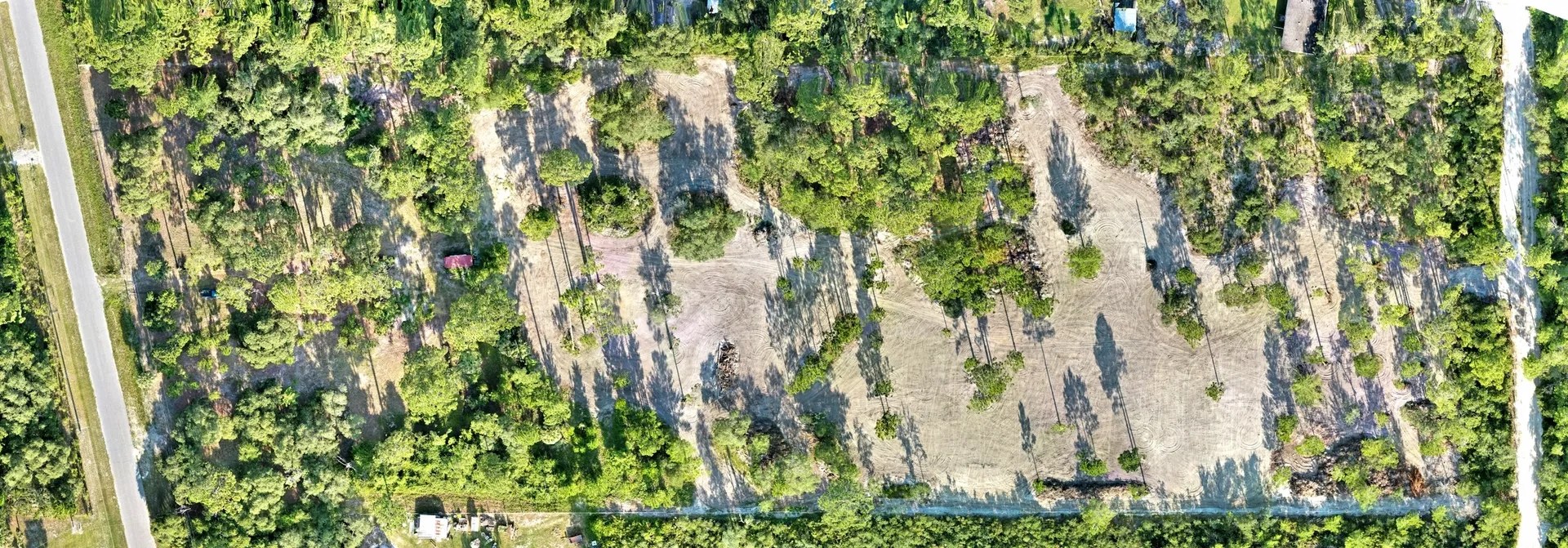 Trees and clearings from above