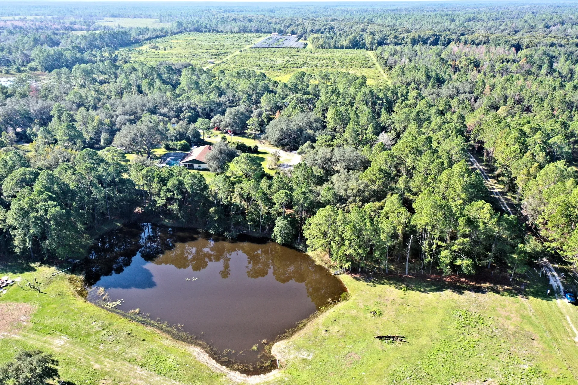 Rural area with greenery and water