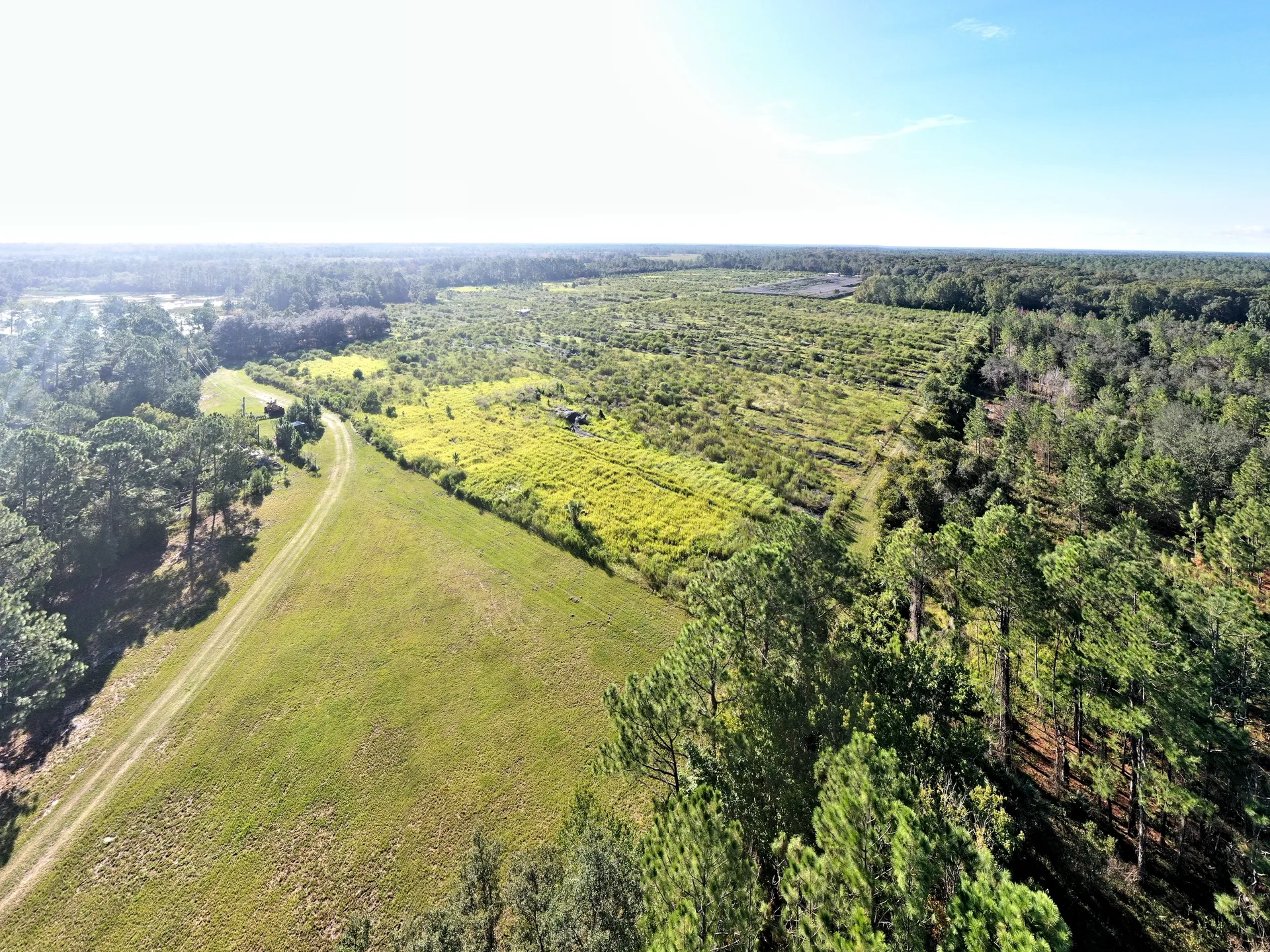 Aerial view of lush green landscape