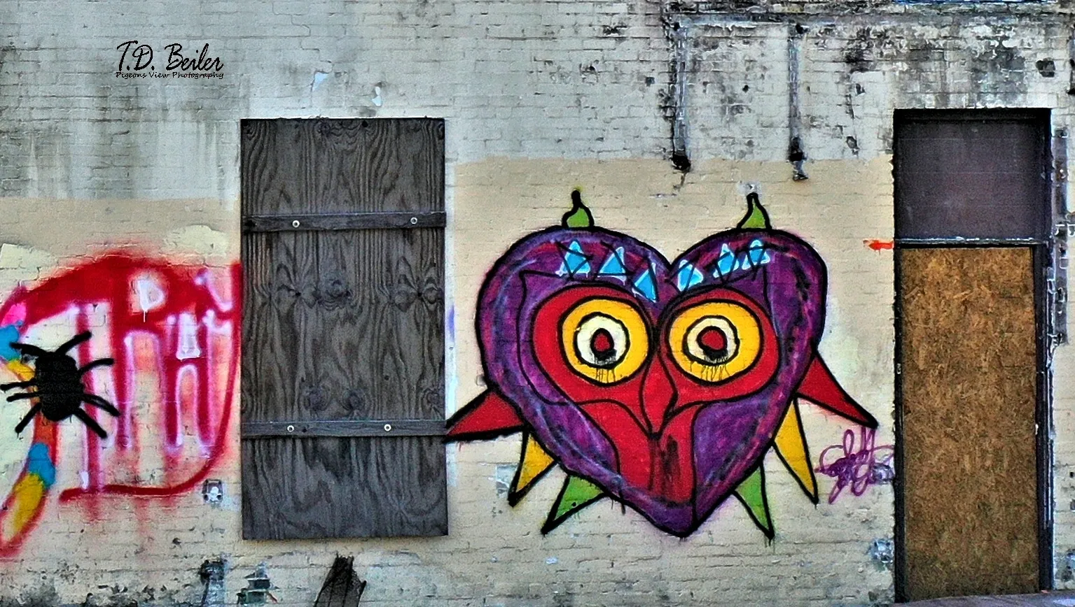 Vibrant heart-shaped owl street art