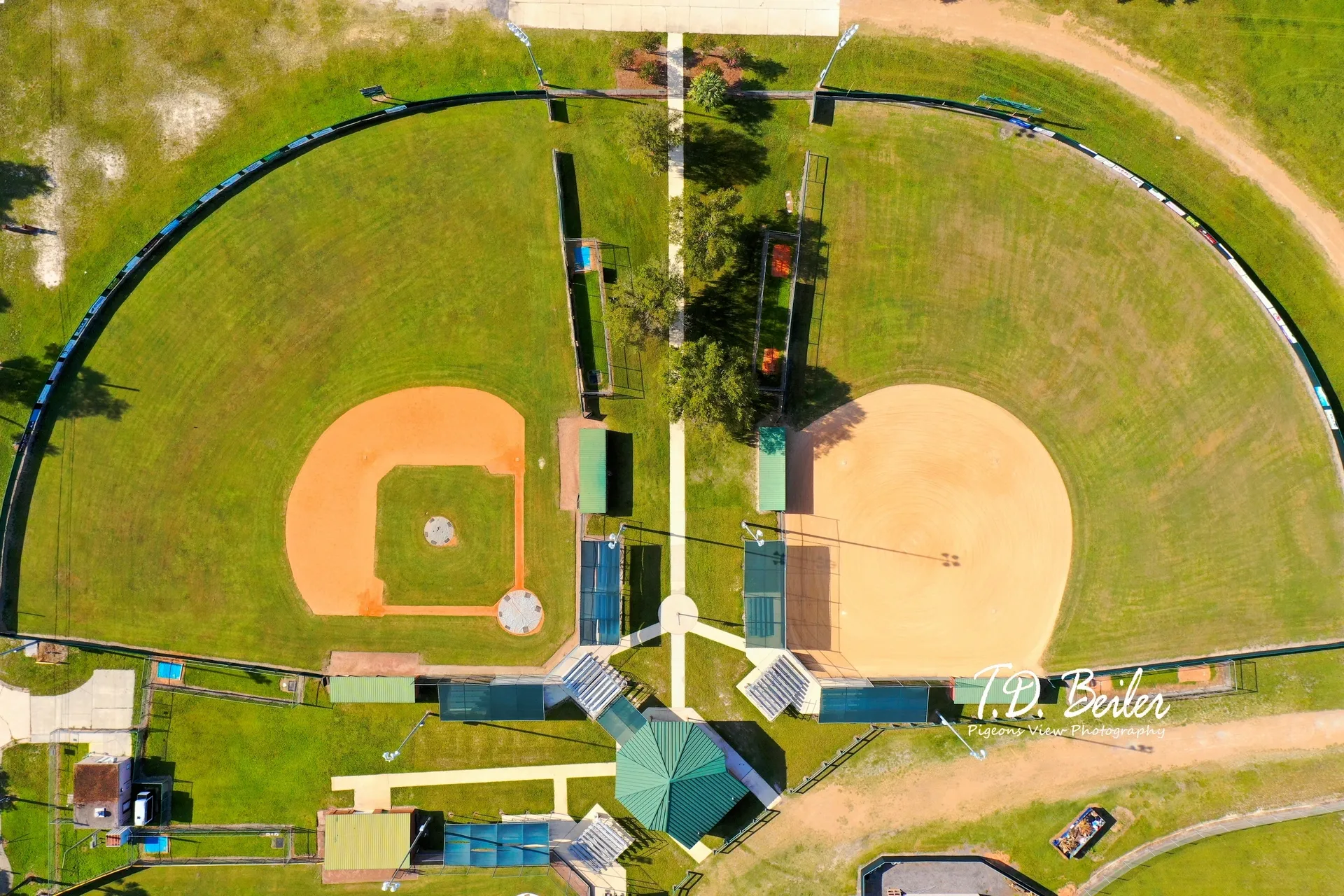 Baseball fields surrounded by green grass