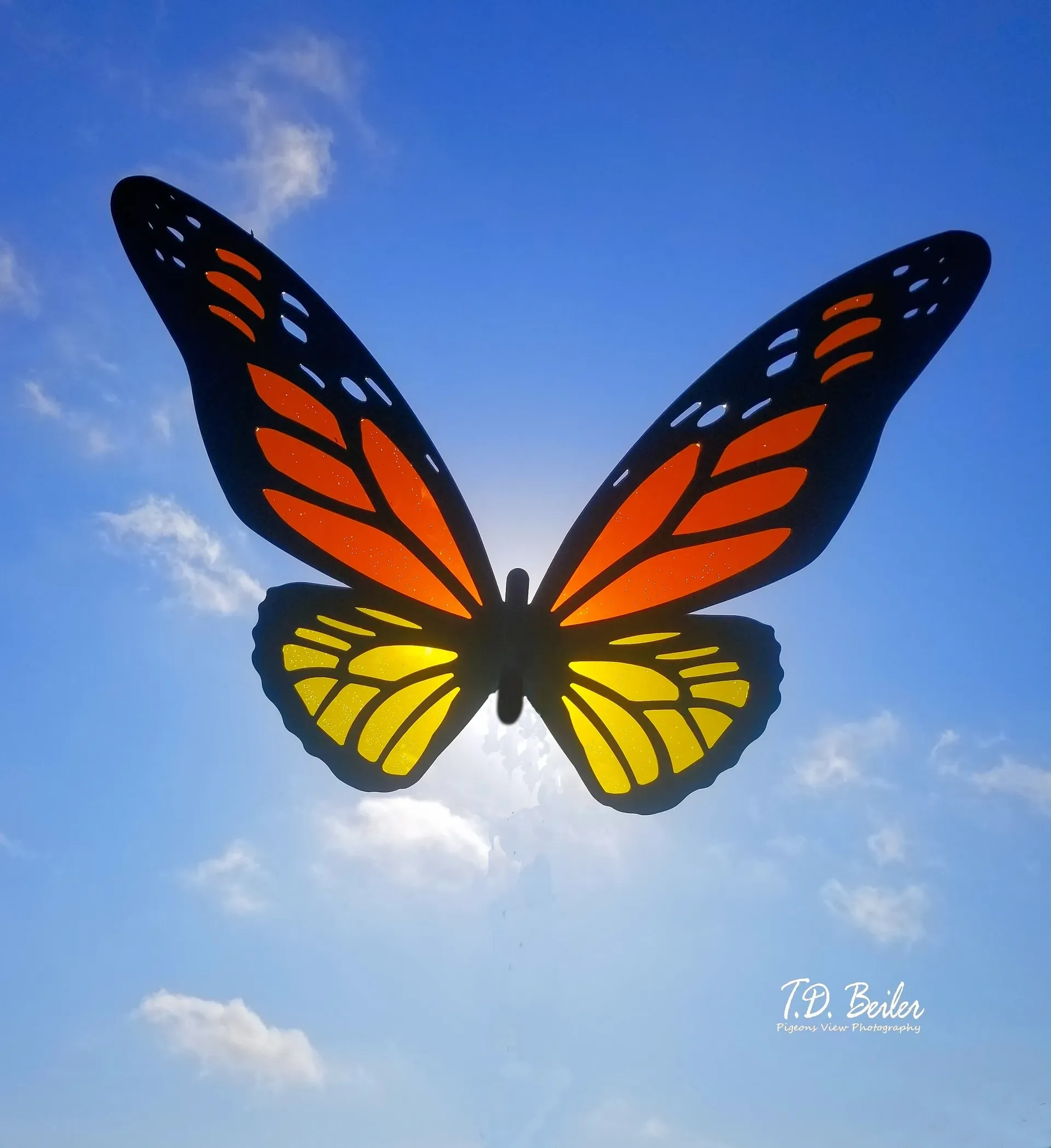 Colorful butterfly against blue sky