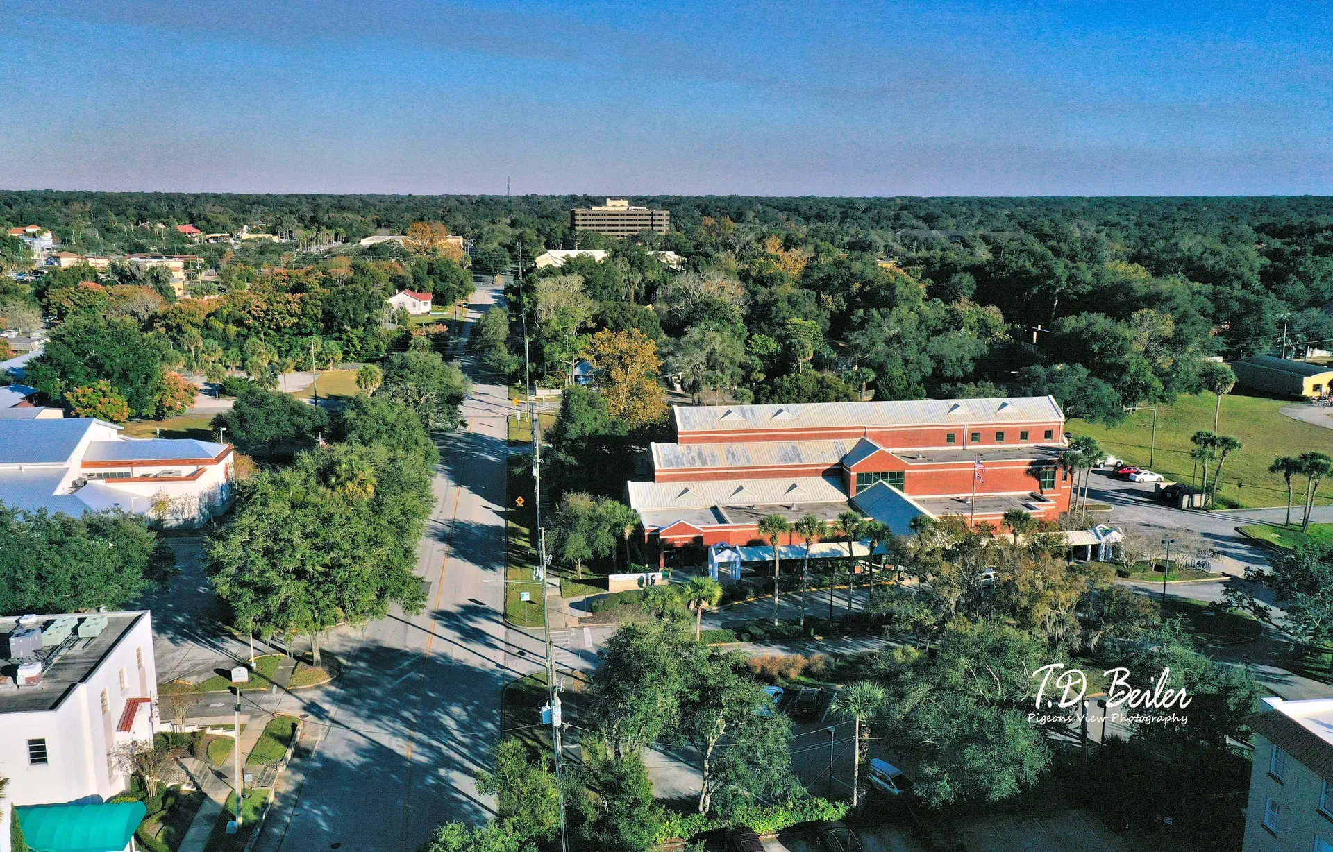 Tree-lined street with buildings