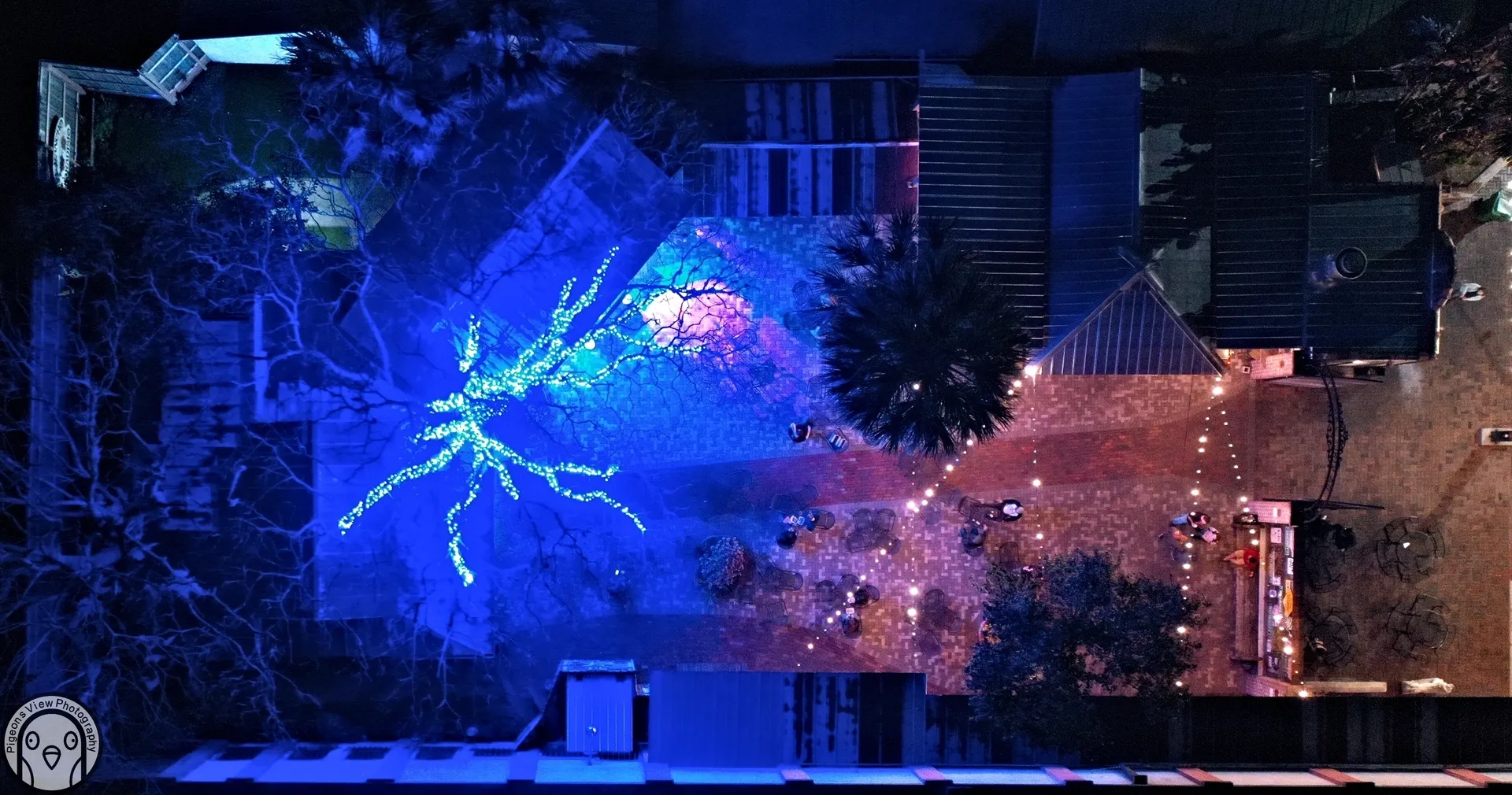 Aerial view of illuminated tree and buildings