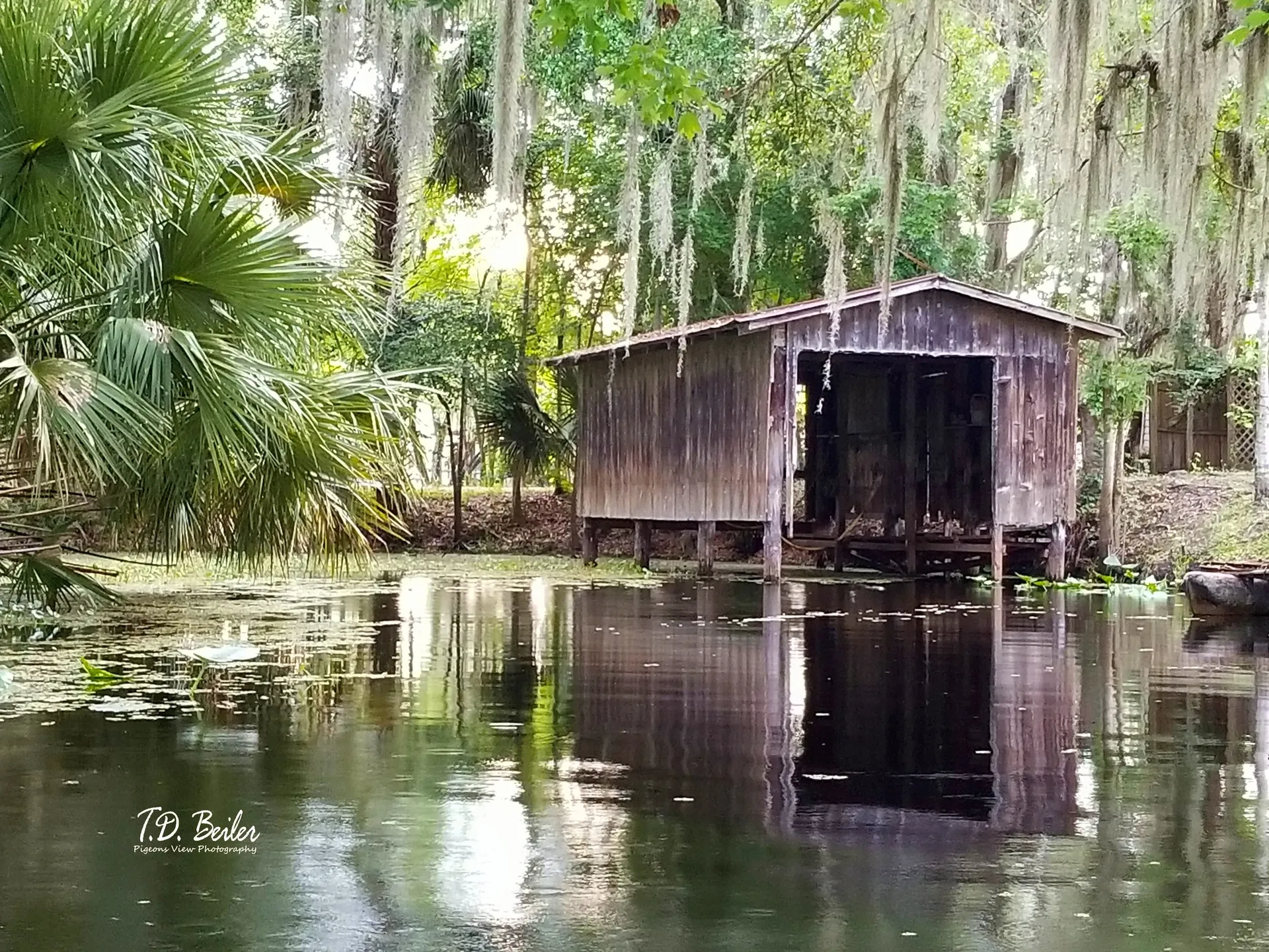 Old wooden cabin by the pond