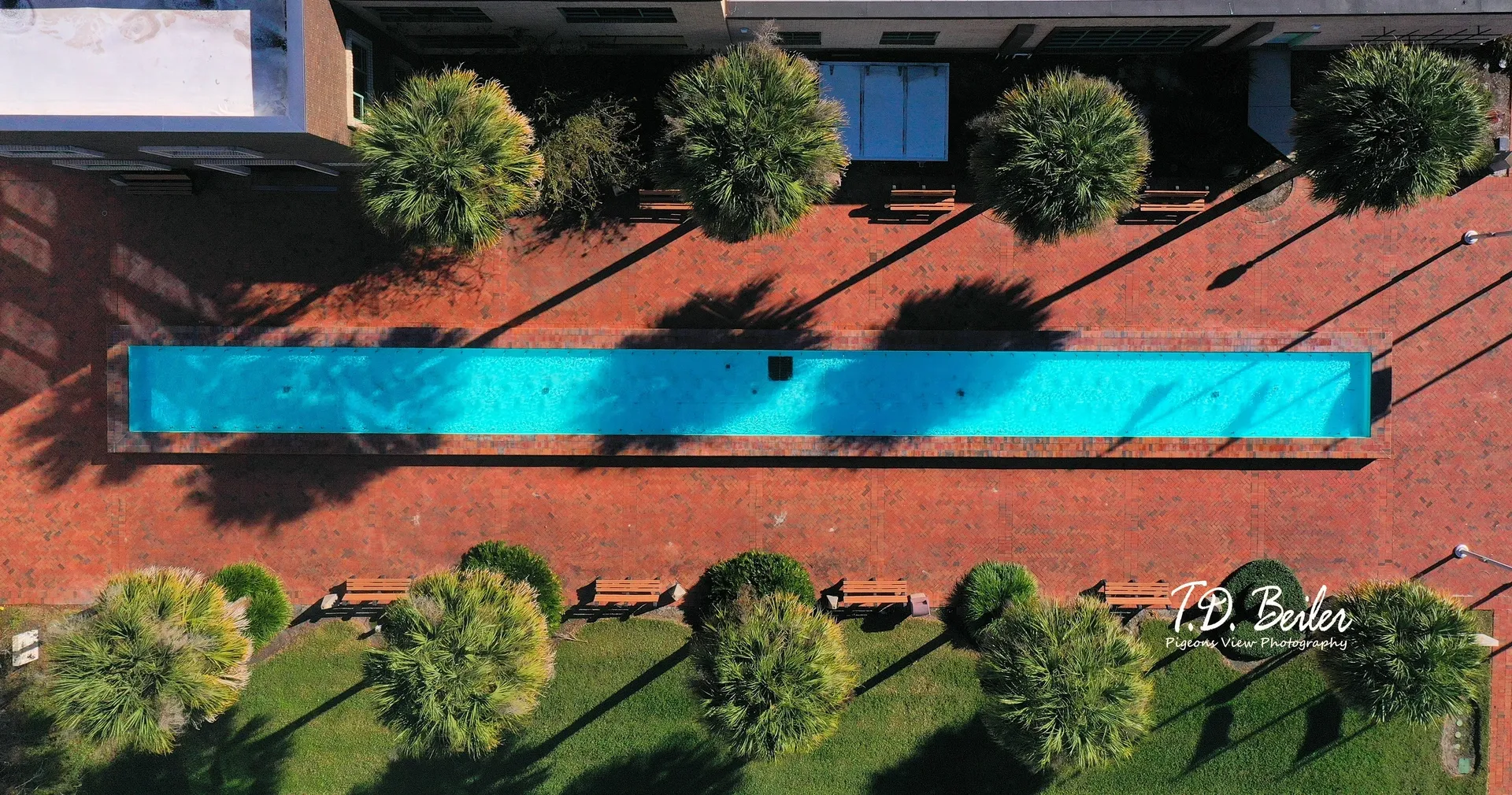 Modern lap pool in landscaped courtyard.
