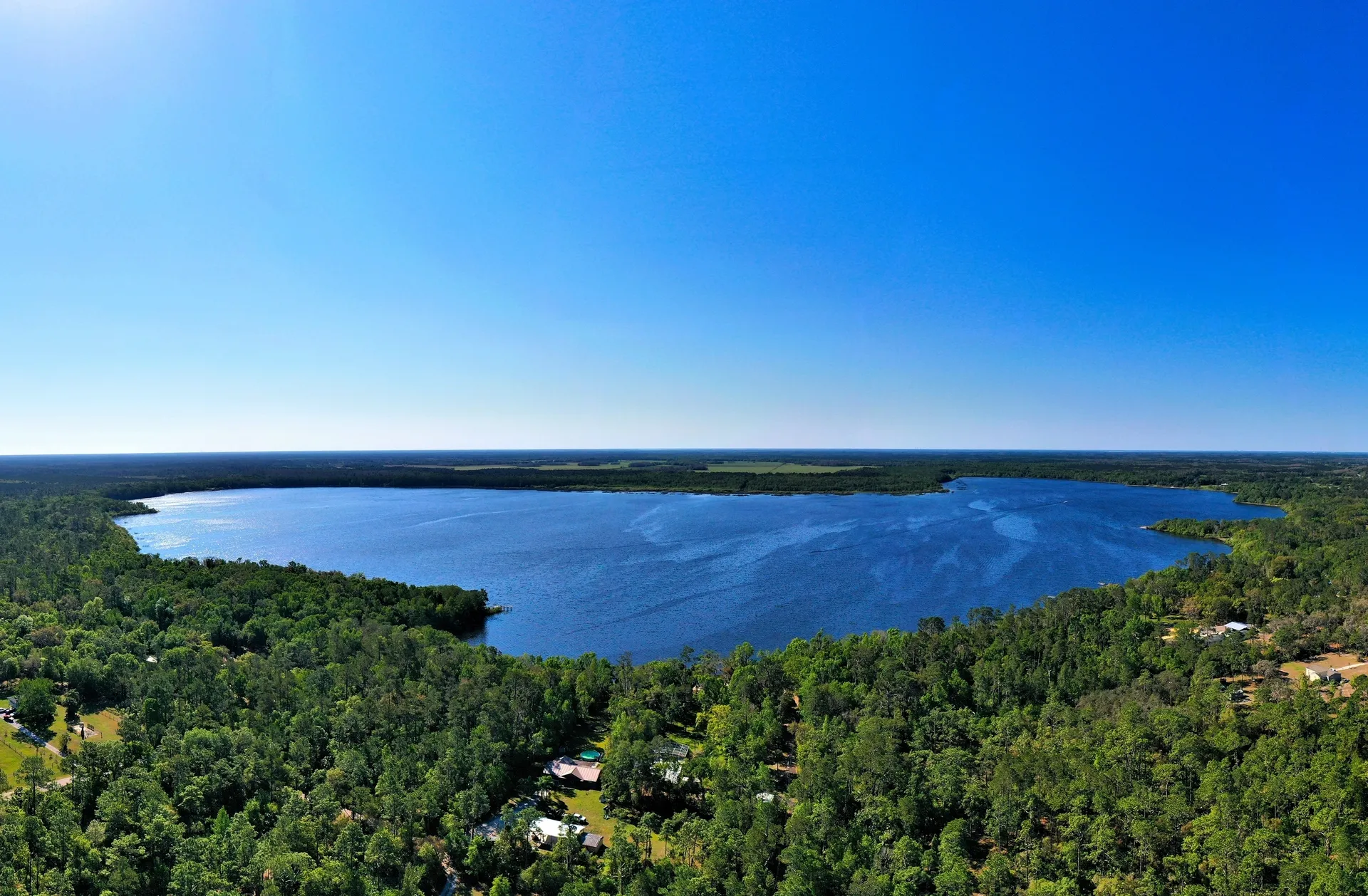 Scenic lake with surrounding forest