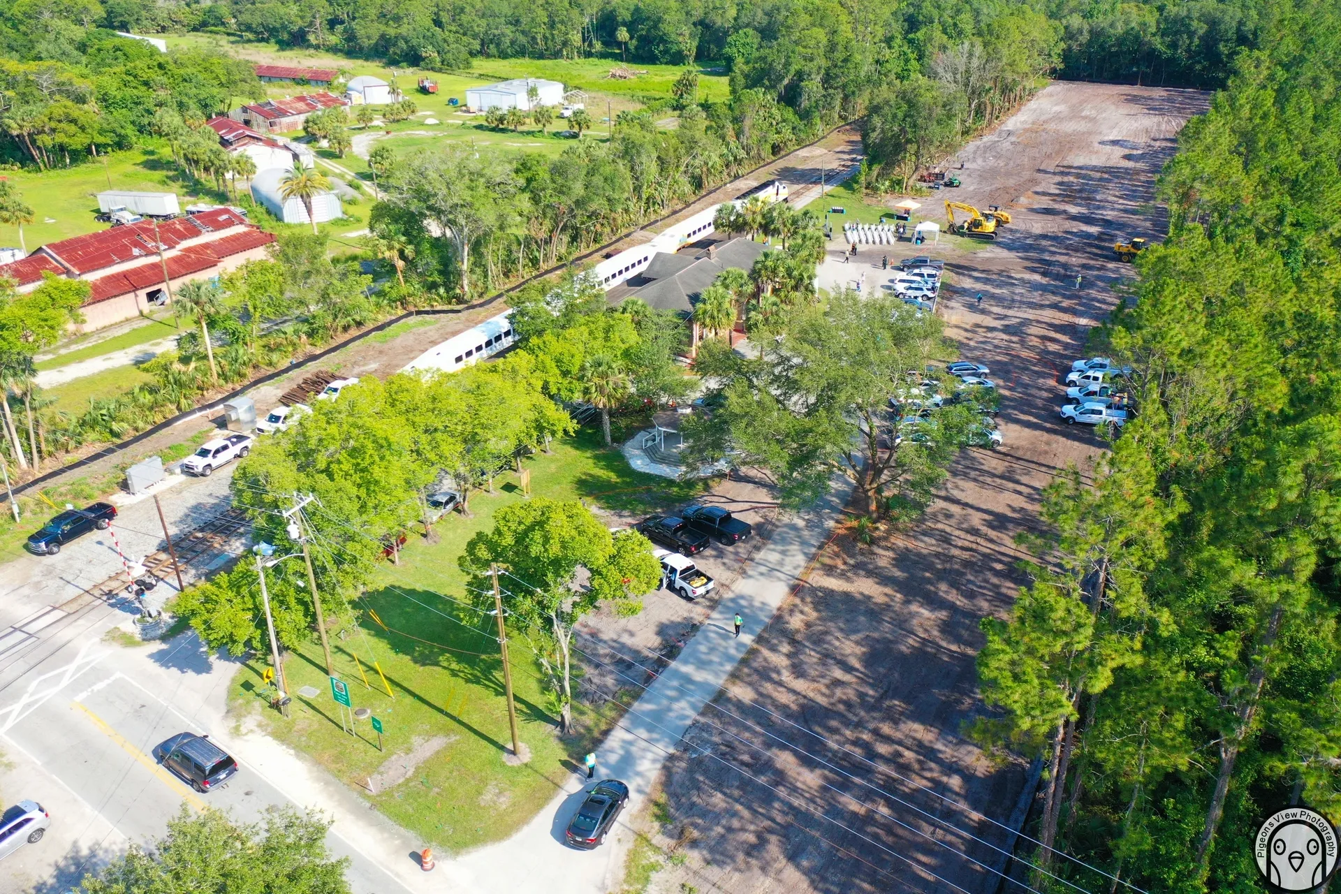 Vehicles parked near forested area